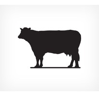 BB COW Меловая табличка «Корова»