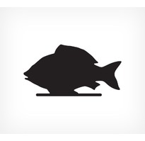 BB FISH Меловая табличка «Рыба»